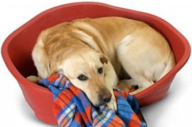 Get rid of that old bed