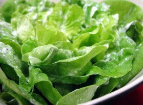 Artichoke Lettuce 20% off