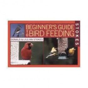 Back to Bird Feeding Basics