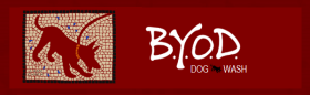 B.Y.O.D. Dog Wash