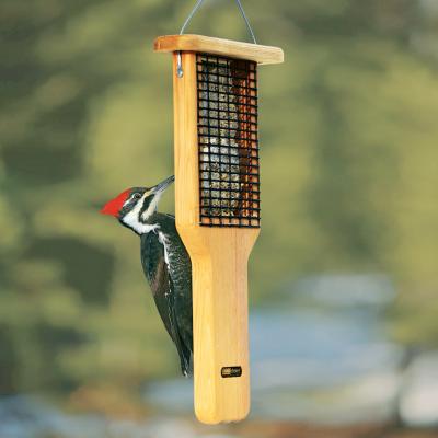 New Bird Feeders for the Season!