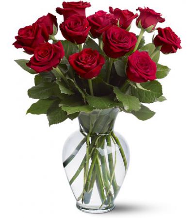 Save $10 on a Dozen Roses