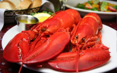 Twin Boiled Lobsters Wed $19.95
