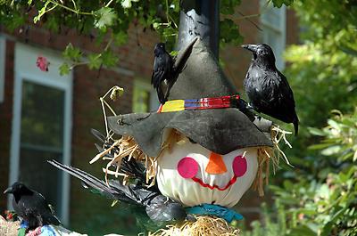 Don't Miss the Scarecrow Contest Judging