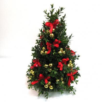 $5 Off Boxwood Tree Workshop-reg. $45